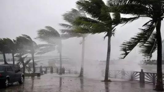 8月臺風雨即將來,除濕機還得用起來