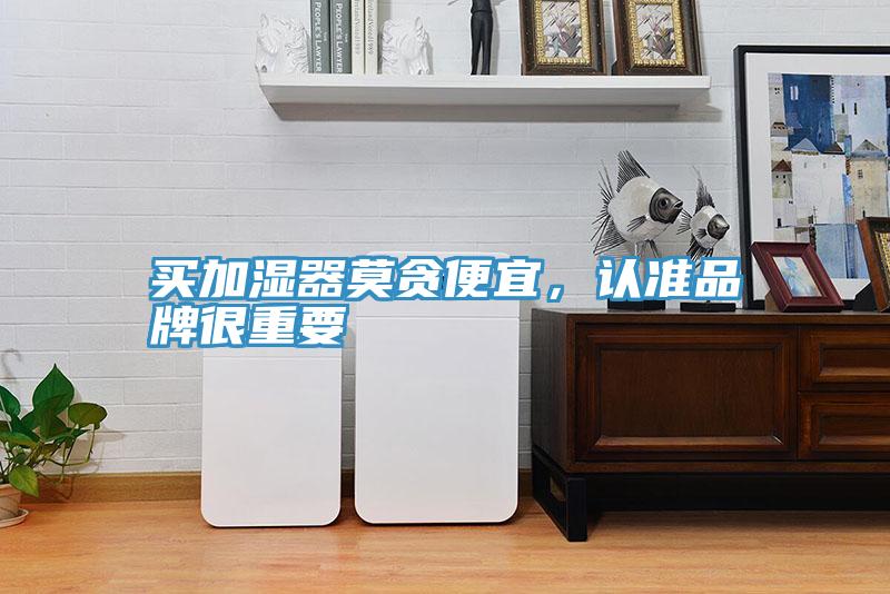 買加濕器莫貪便宜，認準品牌很重要