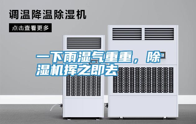 一下雨濕氣重重，除濕機揮之即去