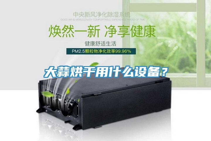 大蒜烘干用什么設(shè)備?