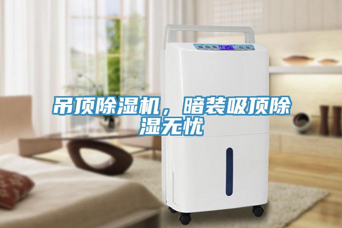吊頂除濕機(jī),暗裝吸頂除濕無(wú)憂
