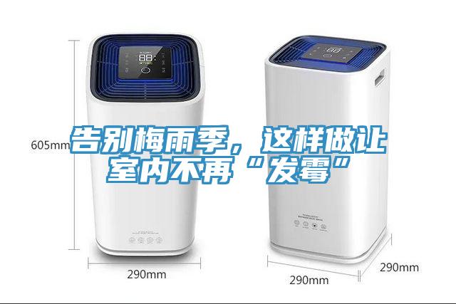 告別梅雨季,這樣做讓室內不再“發霉”