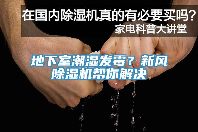 地下室潮濕發(fā)霉?新風(fēng)除濕機(jī)幫你解決