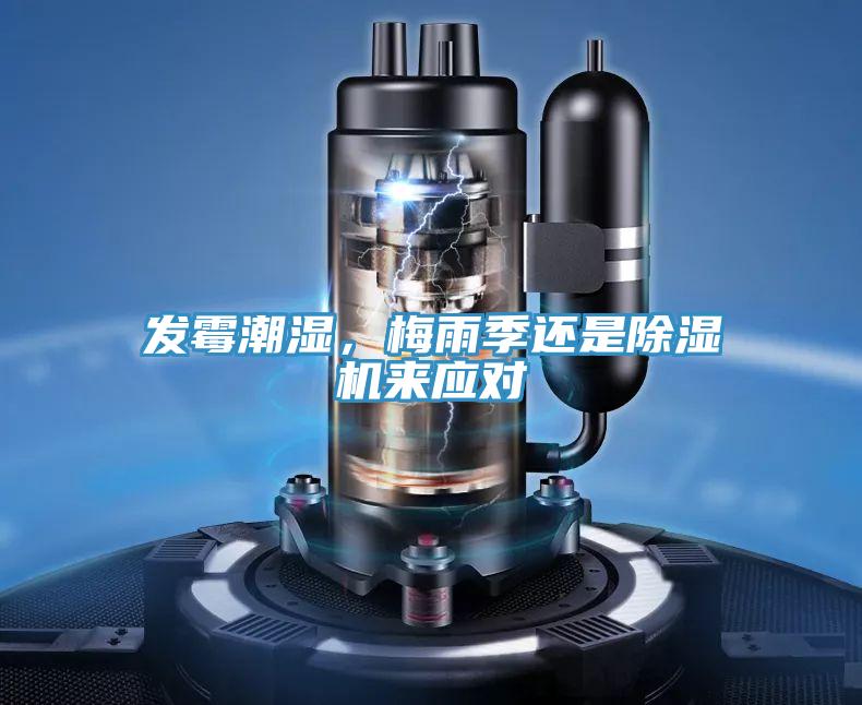 發霉潮濕,梅雨季還是除濕機來應對