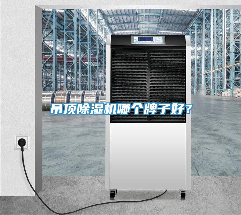 吊頂除濕機(jī)哪個(gè)牌子好?