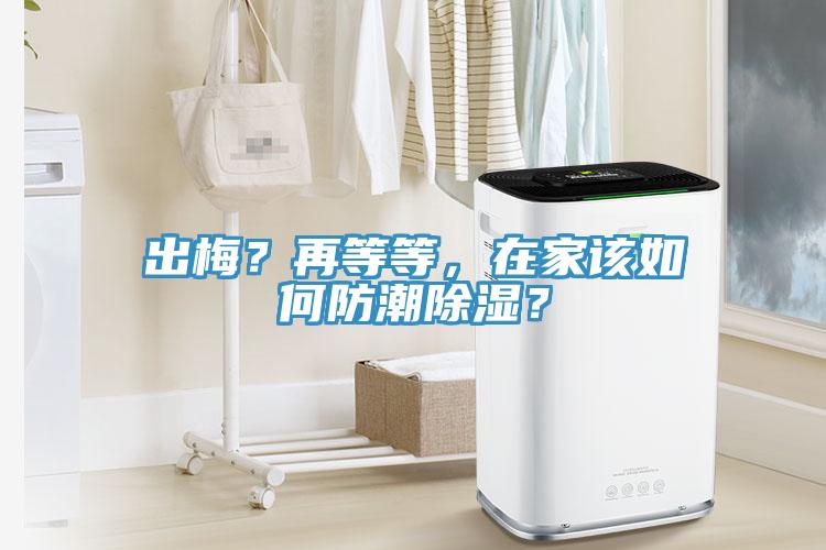 出梅？再等等，在家該如何防潮除濕？