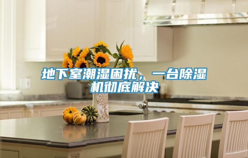 地下室潮濕困擾，一臺除濕機徹底解決