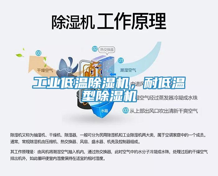 工業低溫除濕機，耐低溫型除濕機