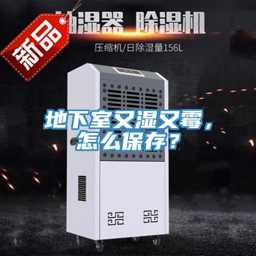 地下室又濕又霉，怎么保存？