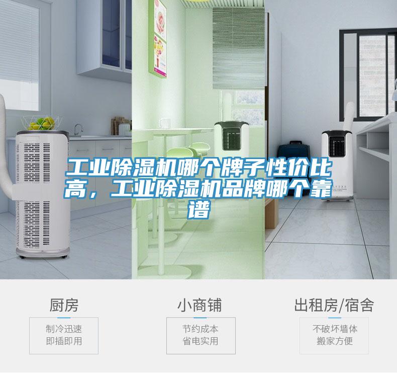 工業除濕機哪個牌子性價比高，工業除濕機品牌哪個靠譜