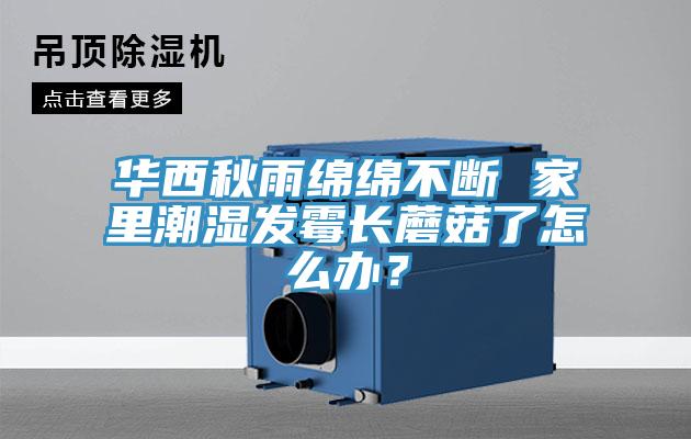 華西秋雨綿綿不斷 家里潮濕發(fā)霉長(zhǎng)蘑菇了怎么辦？