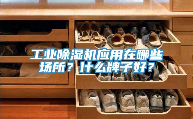 工業除濕機應用在哪些場所?什么牌子好?