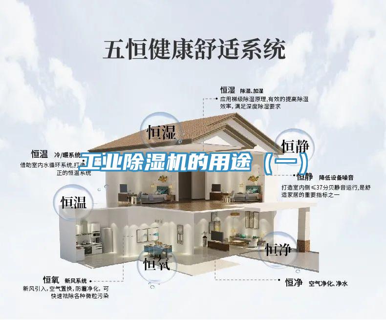 工業(yè)除濕機(jī)的用途(一)