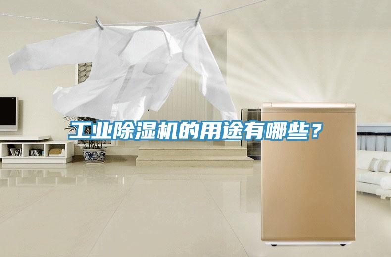 工業(yè)除濕機(jī)的用途有哪些?