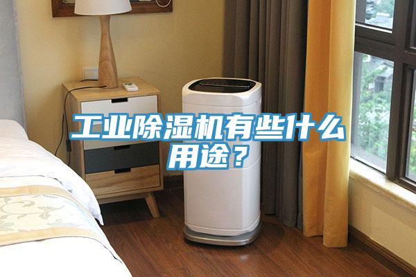 工業除濕機有些什么用途?