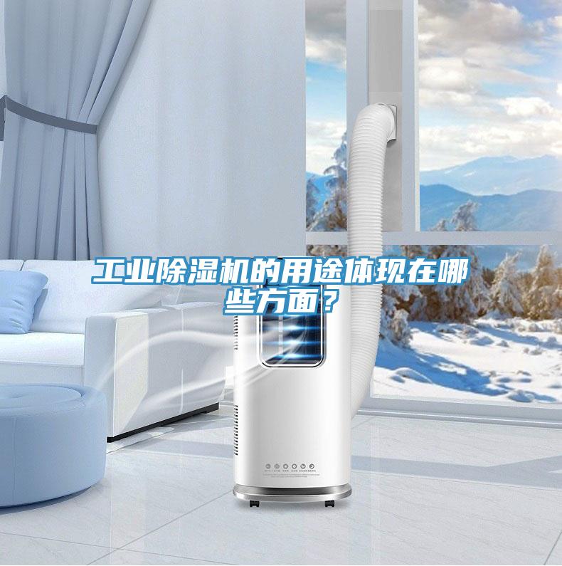 工業(yè)除濕機(jī)的用途體現(xiàn)在哪些方面?