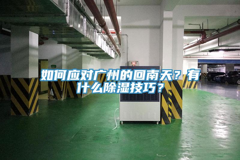 如何應對廣州的回南天?有什么除濕技巧?