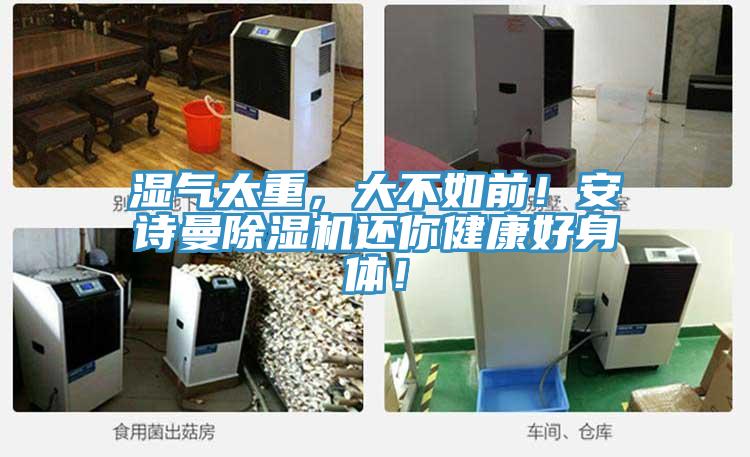 濕氣太重，大不如前！安詩曼除濕機還你健康好身體！