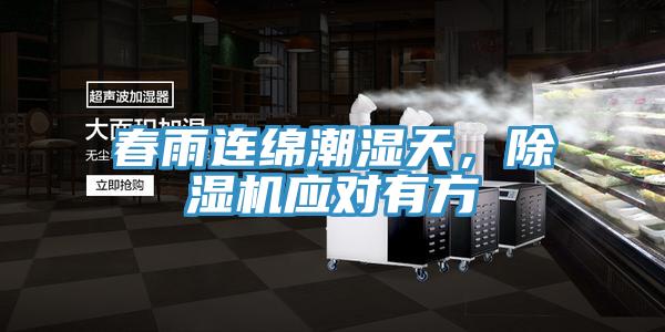 春雨連綿潮濕天,除濕機應對有方