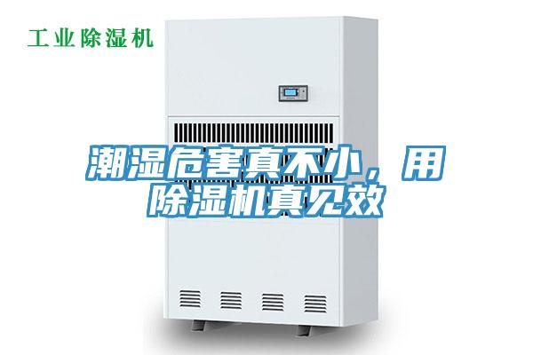 潮濕危害真不小，用除濕機真見效