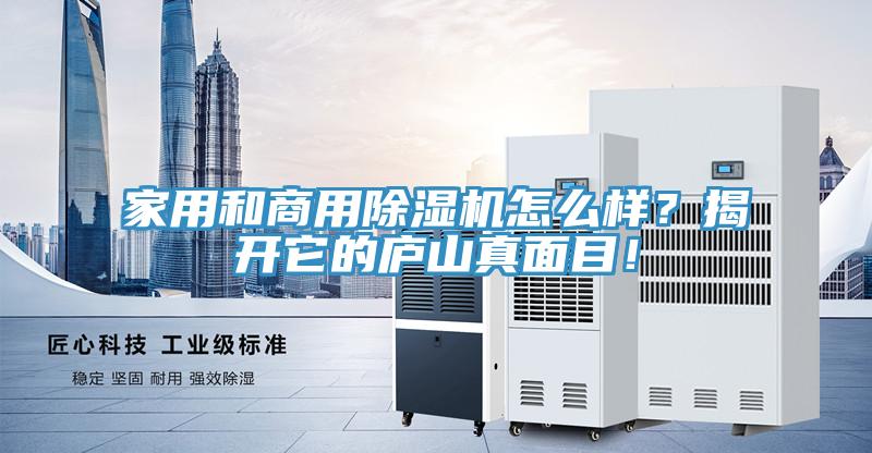 家用和商用除濕機怎么樣？揭開它的廬山真面目！