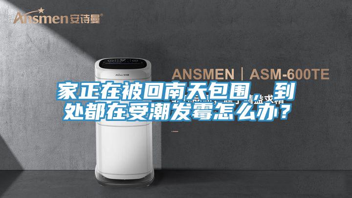 家正在被回南天包圍，到處都在受潮發霉怎么辦？