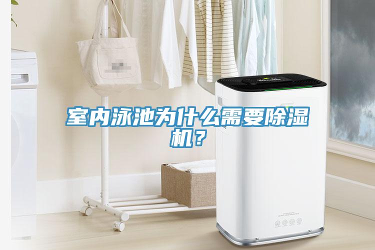 室內(nèi)泳池為什么需要除濕機(jī)？