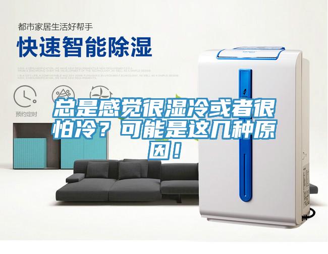 總是感覺很濕冷或者很怕冷？可能是這幾種原因！