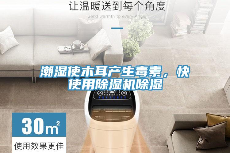 潮濕使木耳產生毒素，快使用除濕機除濕