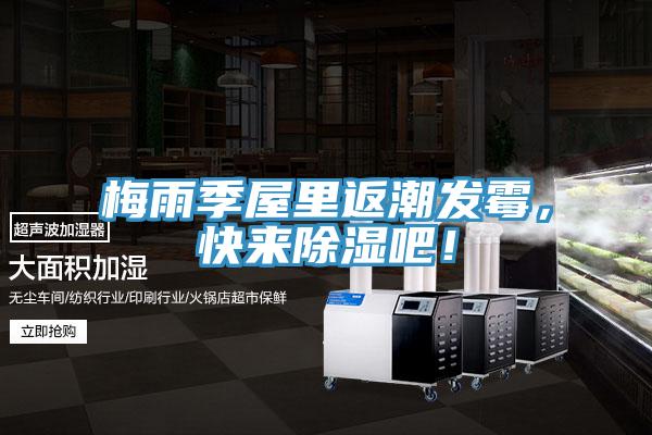 梅雨季屋里返潮發霉，快來除濕吧！