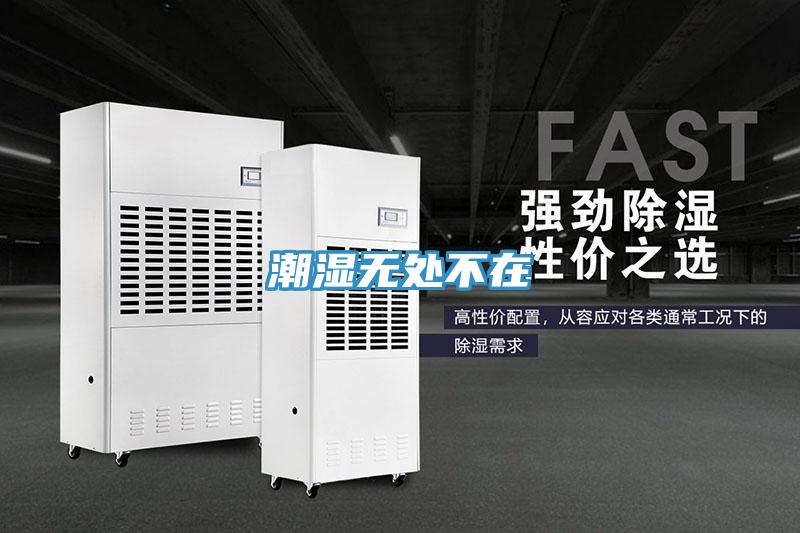 潮濕無處不在