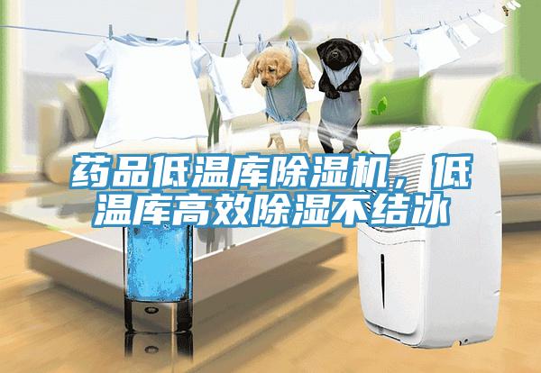 藥品低溫庫除濕機,低溫庫高效除濕不結冰