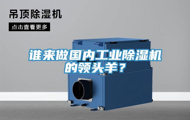 誰來做國內(nèi)工業(yè)除濕機(jī)的領(lǐng)頭羊？