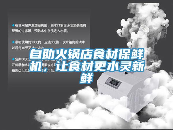 自助火鍋店食材保鮮機,讓食材更水靈新鮮