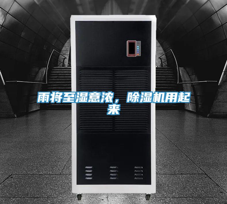雨將至濕意濃，除濕機用起來
