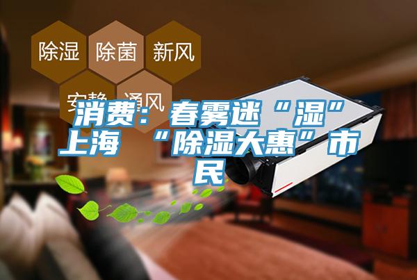 消費:春霧迷“濕”上海 “除濕大惠”市民