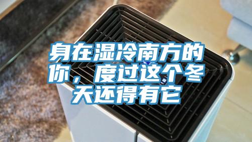 身在濕冷南方的你，度過(guò)這個(gè)冬天還得有它