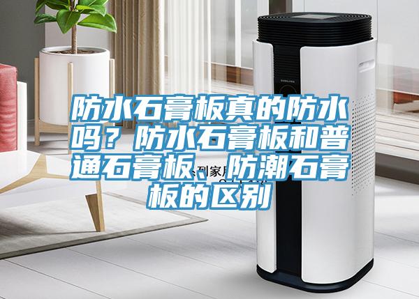 防水石膏板真的防水嗎？防水石膏板和普通石膏板、防潮石膏板的區別