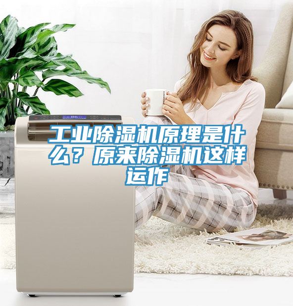 工業(yè)除濕機(jī)原理是什么？原來除濕機(jī)這樣運(yùn)作