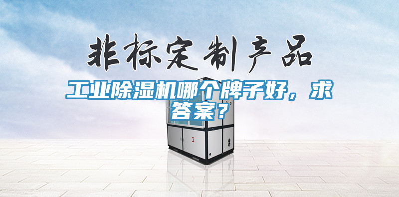 工業(yè)除濕機(jī)哪個牌子好，求答案？