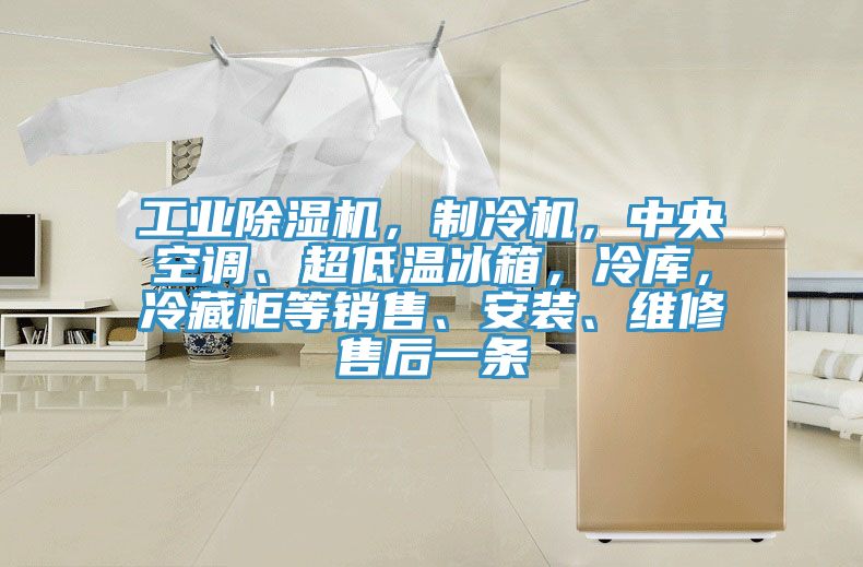 工業(yè)除濕機，制冷機，中央空調、超低溫冰箱，冷庫，冷藏柜等銷售、安裝、維修售后一條
