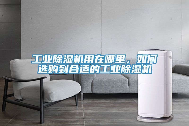 工業(yè)除濕機(jī)用在哪里，如何選購到合適的工業(yè)除濕機(jī)