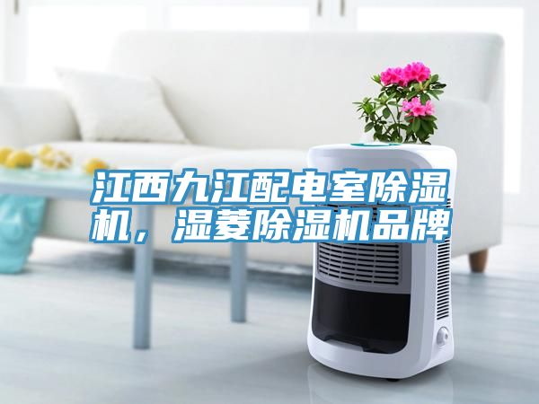 江西九江配電室除濕機(jī)，濕菱除濕機(jī)品牌