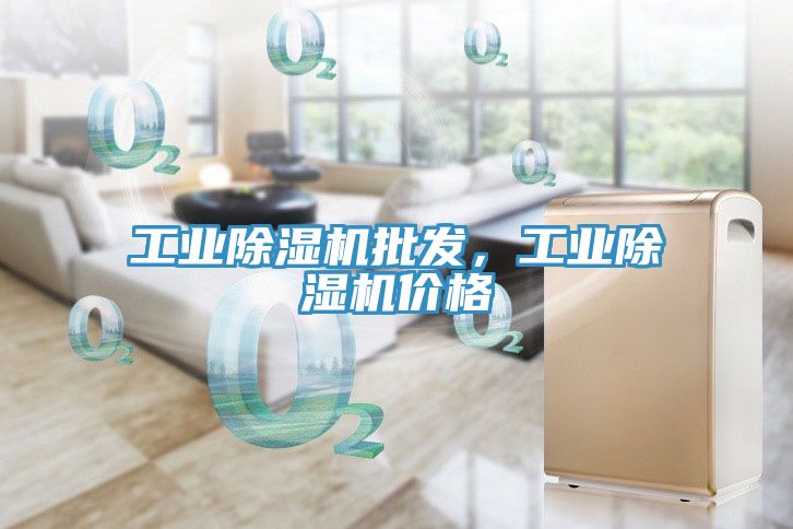 工業(yè)除濕機(jī)批發(fā)，工業(yè)除濕機(jī)價格
