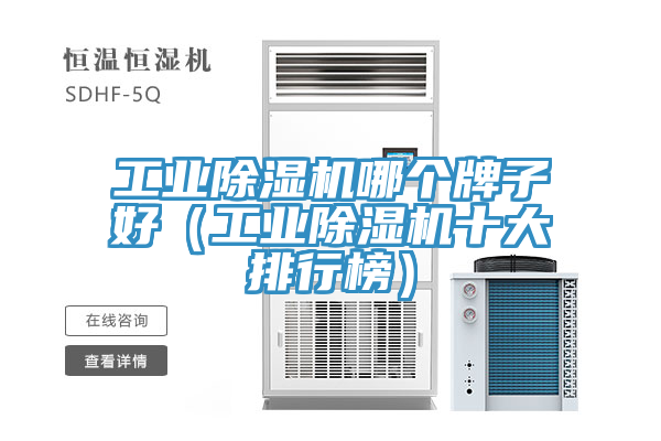 工業(yè)除濕機(jī)哪個牌子好（工業(yè)除濕機(jī)十大排行榜）