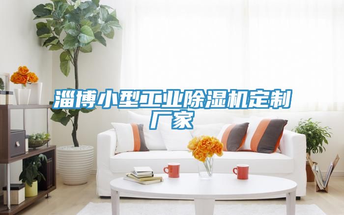 淄博小型工業除濕機定制廠家