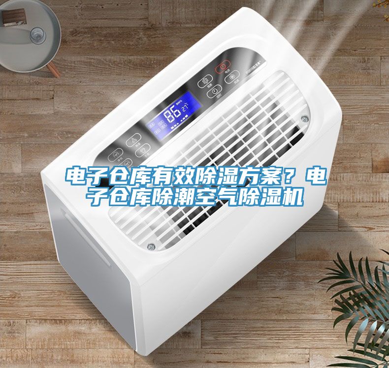 電子倉庫有效除濕方案？電子倉庫除潮空氣除濕機