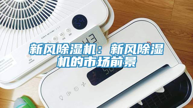 新風除濕機:新風除濕機的市場前景