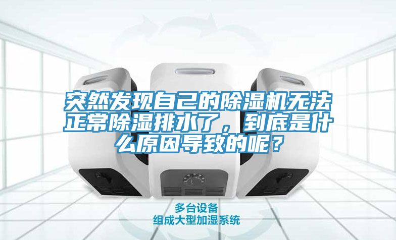 突然發(fā)現(xiàn)自己的除濕機無法正常除濕排水了，到底是什么原因?qū)е碌哪兀?></div>
								<div   id=