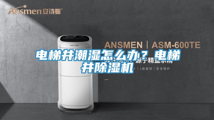 電梯井潮濕怎么辦？電梯井除濕機(jī)